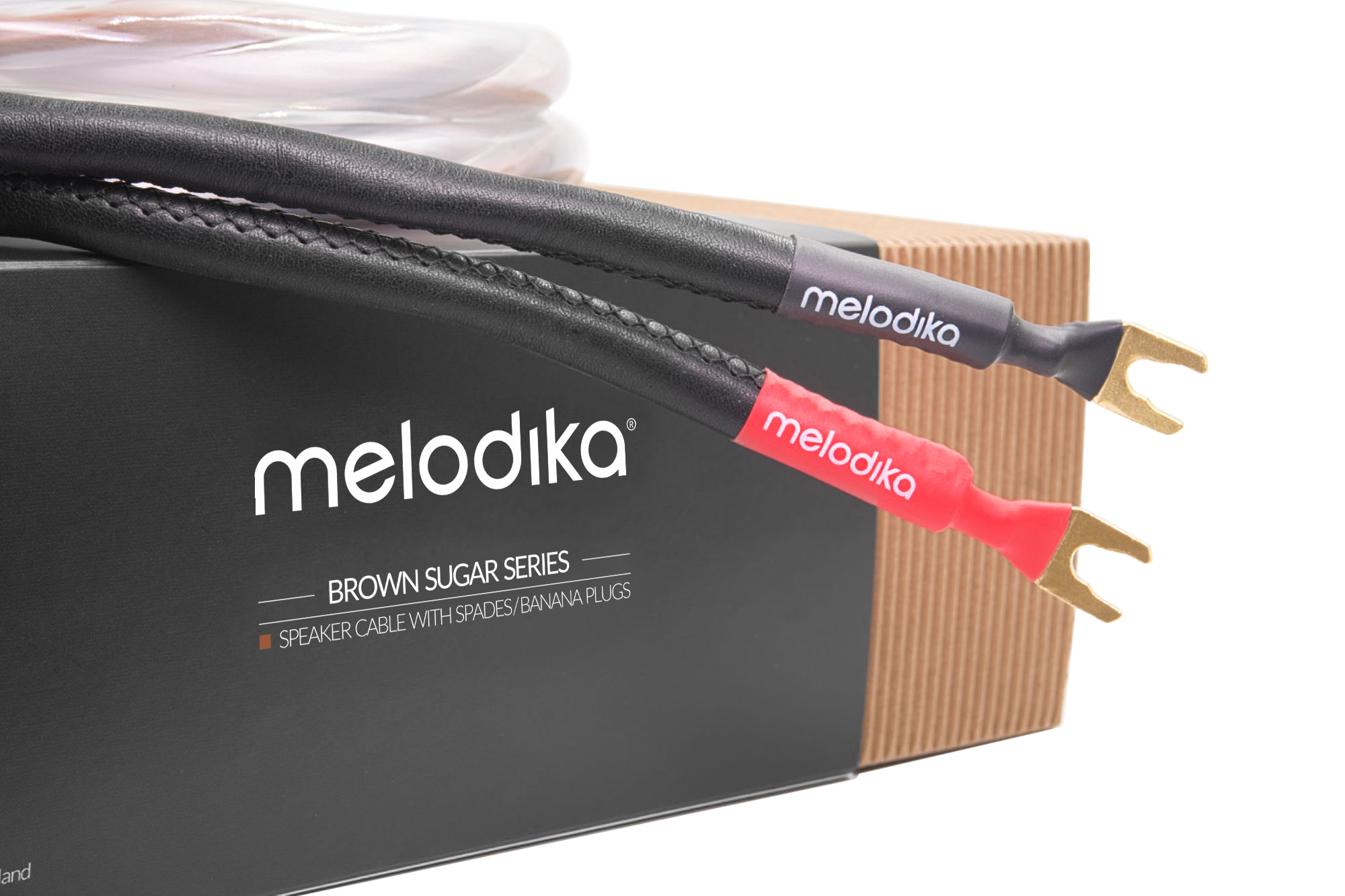 Melodika BSS95